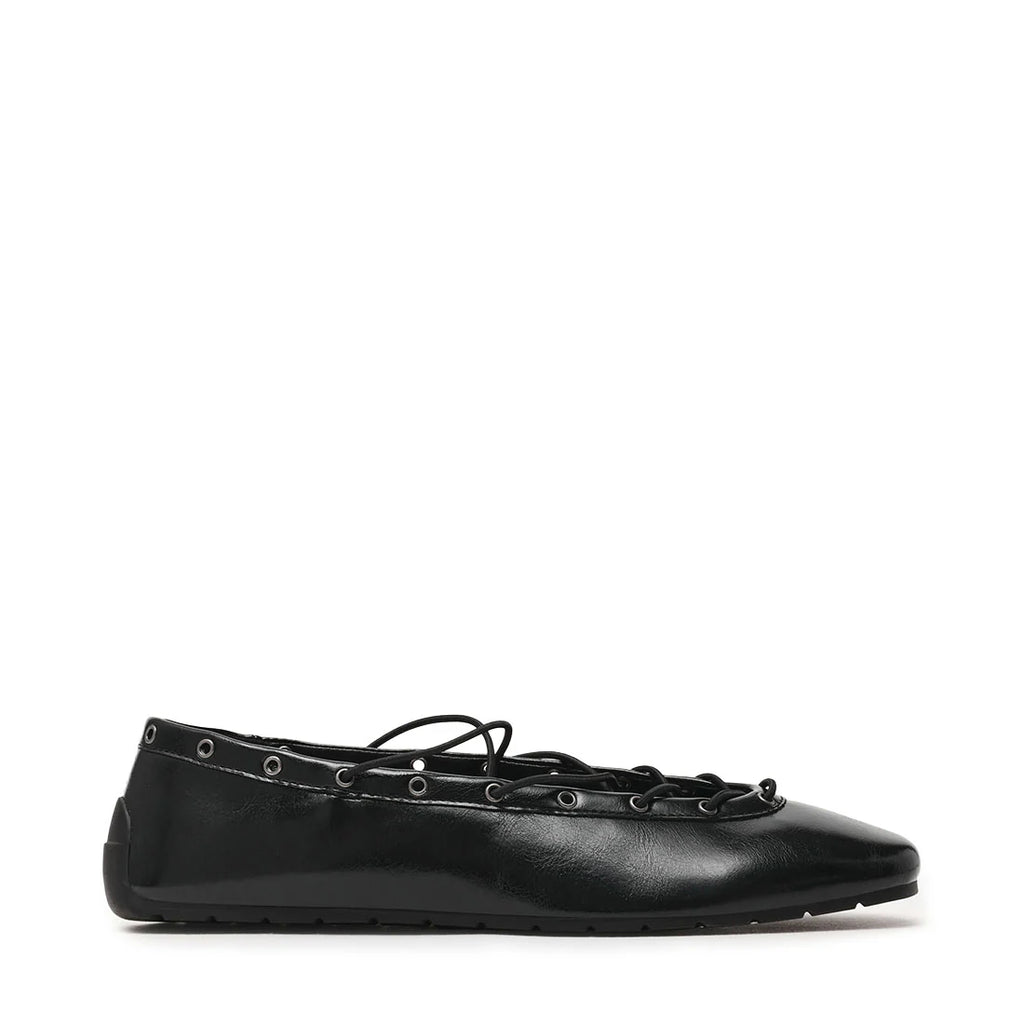 Pointe Flat Shoe BLACK